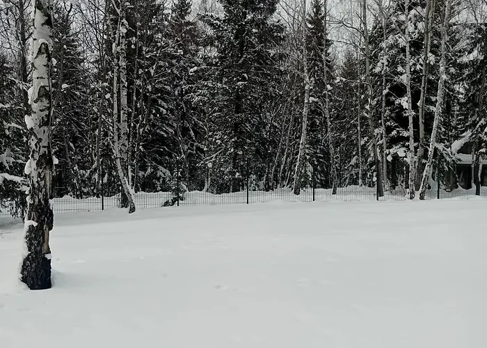 Din Padure Si Casutele Din Copac Belis Dom wakacyjny