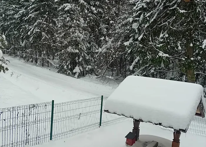 Din Padure Si Casutele Din Copac Belis * Kluż-Napoka