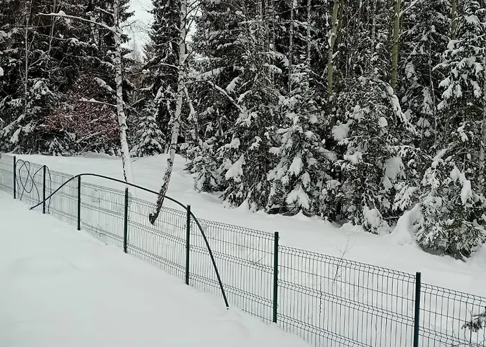 Din Padure Si Casutele Din Copac Belis Vakantiehuis *